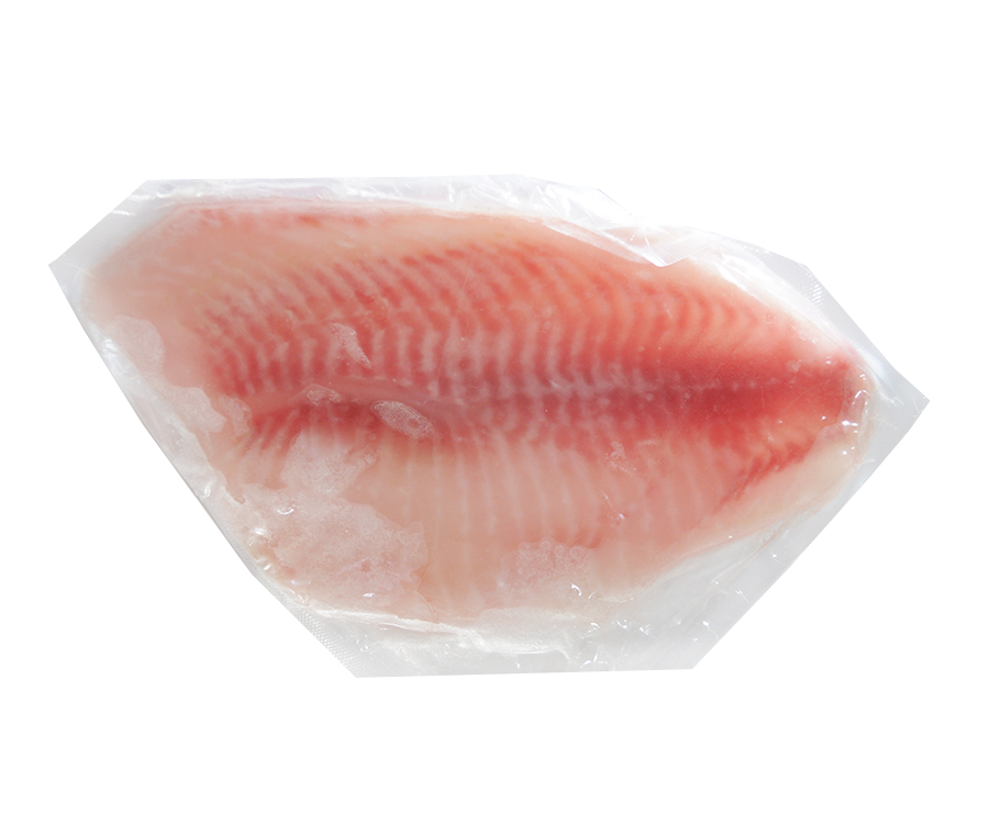 Tilapia